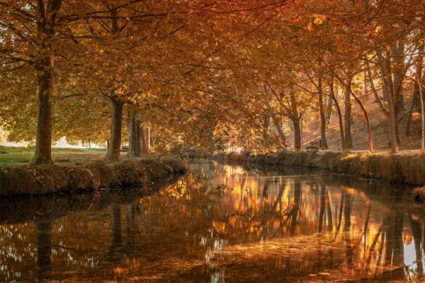 The Future of La Masia: Nurturing the Next Generation of Football Talent